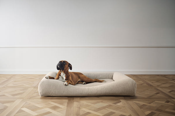CONRAD Bed without frame - Large    Amouri