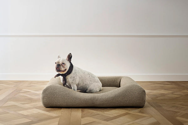 CONRAD Bed without frame - Medium    Amouri
