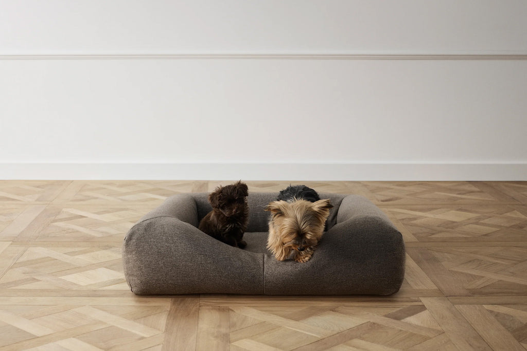 CONRAD Bed without frame - Small    Amouri
